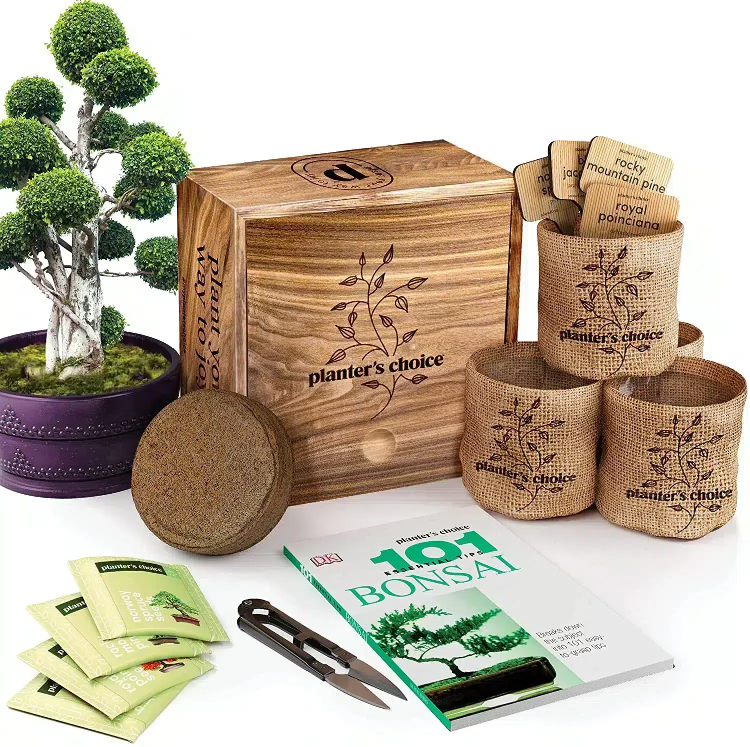 Achetez en gros Kit De Démarrage Bonsai Pour Débutant , Ensemble De  Plantation De Coffrets Cadeaux Créatifs Pour Enfants, Fournitures Directes  Chine et Costume De Plantation Diy Kit De Pot De Plante