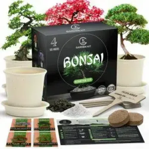 Kit Zen Bonsai - Kit Di Coltivazione Di 5 Bonsai